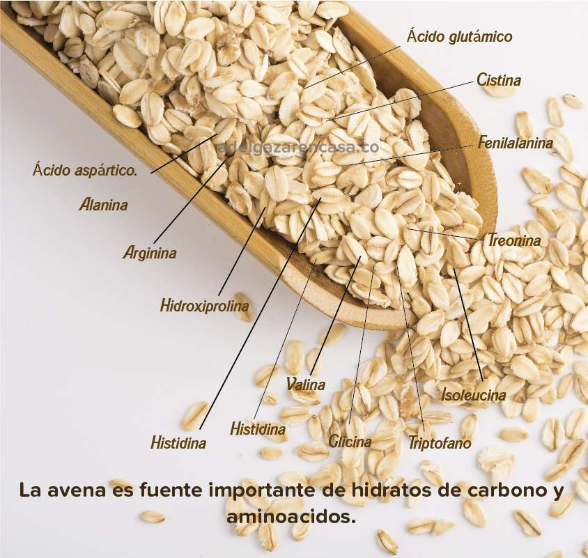 Dieta de la avena