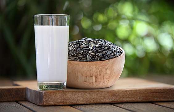 leche de semillas