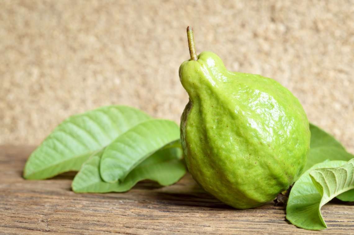18 beneficios de las hojas de guayaba Adelgazar en casa