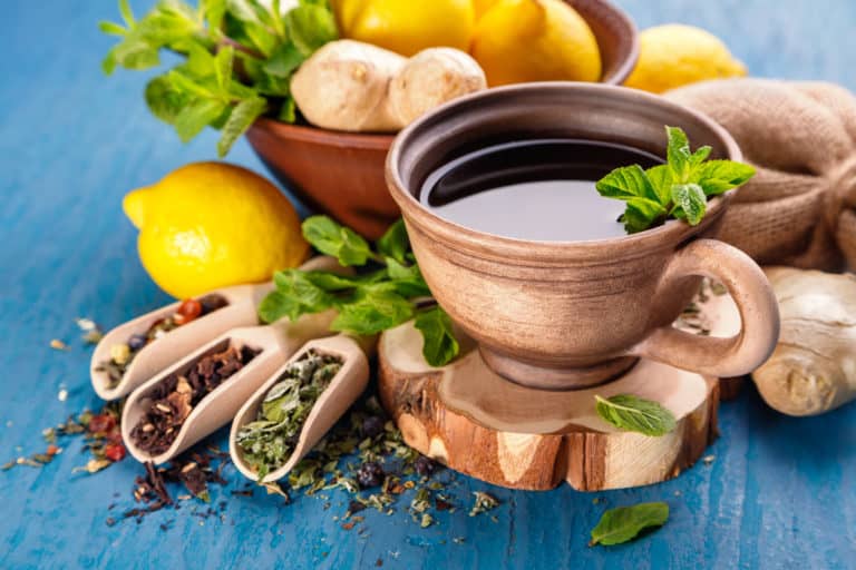 Cómo preparar el té de hojas de sen para perder peso Adelgazar en casa