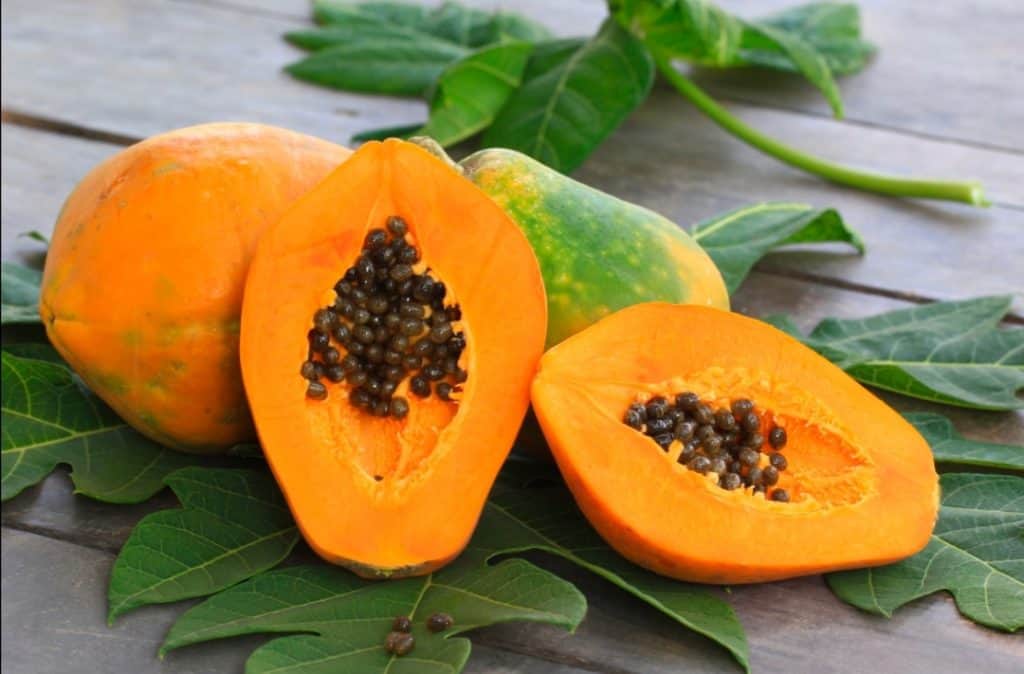 Aprende a tratar la diabetes con la papaya ¿Cómo usarla? Adelgazar en