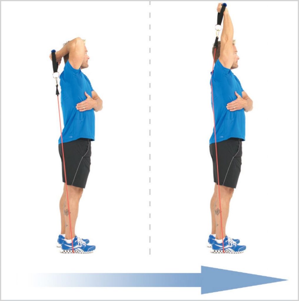 Extensión de tríceps con goma Adelgazar en casa