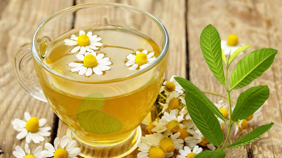 tedehojasdeguayabaymanzanilla Adelgazar en casa